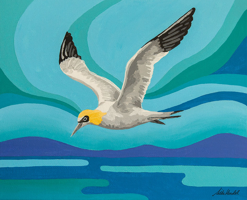 Gannet in flight painting, colorful New Zealand seabird wall art by Silke Hendel